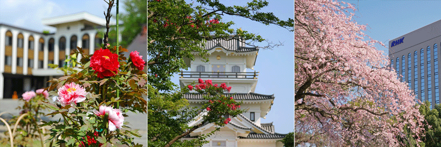 メインイメージ