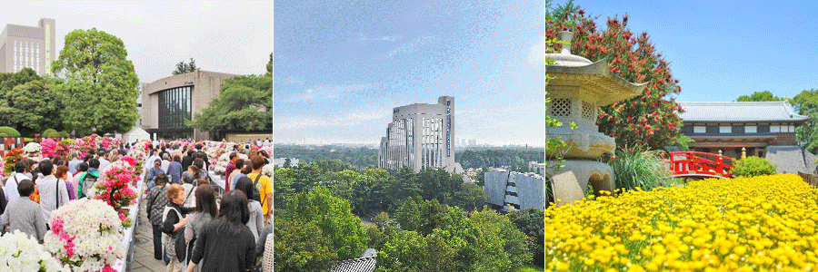 メインイメージ